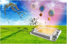 نخستین چراغ ال‌ای‌دی کوانتومی جهان با سبوس برنج!