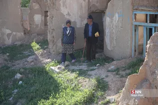 دبب