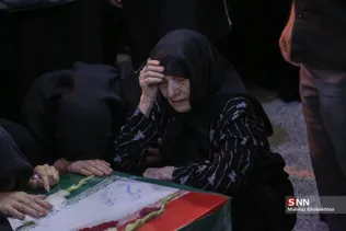 دبب