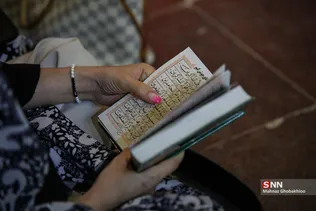 دبب