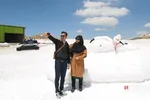 دبب