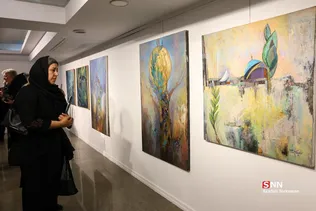 دبب