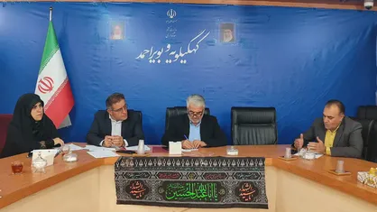 نجات کودکان کار از آسیب&zwnj;های اجتماعی نیازمند هماهنگی بین&zwnj;دستگاهی و سیاست&zwnj;گذاری دقیق است