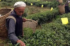 پدیده‌ای به نام تسخیر نخبگان/ چین چگونه از فقر گریخت؟