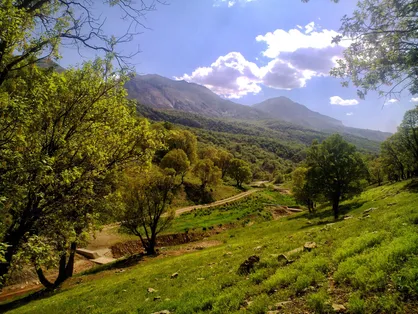 ایران خواستار همکاری جهانی برای نجات جنگل&zwnj;های زاگرس است