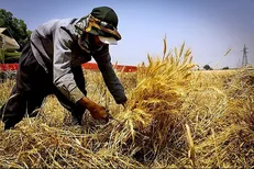 ۱۰ هزارمیلیارد تومان تسهیلات برای ایجاد اشتغال به روستائیان پرداخت می‌شود