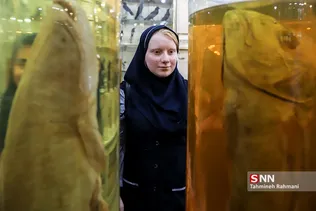 روزی با دانشگاه تهران