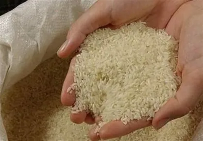 ورود دفتر بازرسی ویژه رییس جمهور به موضوع ترخیص برنج / توزیع برنج&zwnj;های وارداتی فعلاً ممنوع است