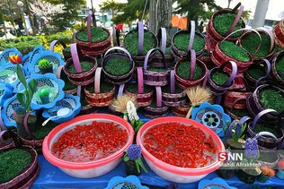 ماهی قرمز و سبزه شب عید