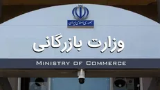 دولت بجای واردات کالا بهتر است سرمایه‌گذار جذب کند / به چاه وزارت بازرگانی نیفتید!