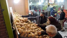 قیمت سیب‌زمینی تک نرخی شد