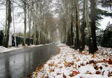 بارش برف و باران در جاده‌های ۲۰ استان