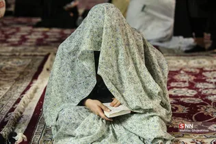 دبب