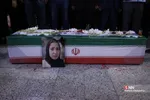 دبب