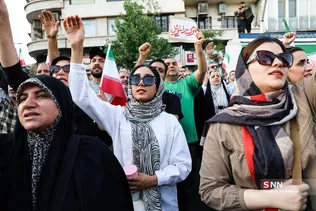 دبب