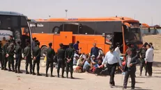 انتقال ۲۹۴ زندانی افغانستانی از مرز دوغارون تایباد به کشورشان