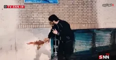 روایتی از آنچه تروریست‌های مسلح بر سر مسجد الرسول سعادت آباد و شهید سیدحسن حسینی آوردند + فیلم