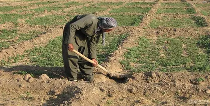 ایرادات شورای نگهبان به لایحه حفاظت از خاک رفع شد