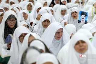 دبب