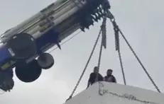 سوراخ موش چند؟