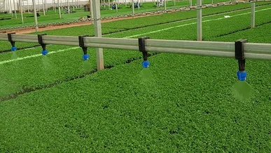 سرمایه‌گذاری ۳۳۰ میلیارد تومانی برای تولید سالانه ۱۵۰ میلیون نشاء در شهرک گلخانه‌ای اصفهان