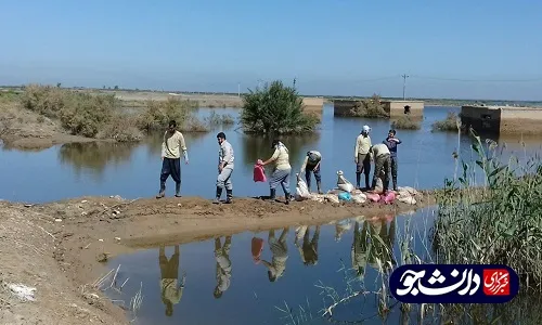 جهادگران بسیج دانشجویی دانشگاه آزاد اهواز اقدام به ترمیم سیل بند روستای هوفل سیدناصر کردند