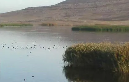 ۴۰ تالاب آبگیری شد/ سال آبی جاری پربارش&zwnj;ترین سال نیم قرن اخیر