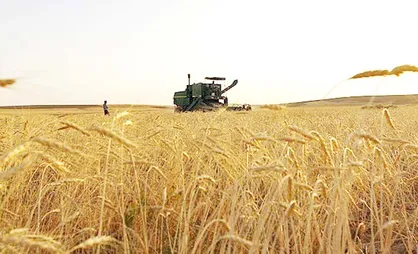 نرخ خرید تضمینی محصولات کشاورزی اعلام نشد
