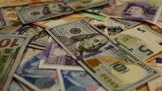 اهمال‌کاری دولت در مهار گرانی علی‌رغم همت بانک مرکزی در کنترل قیمت ارز