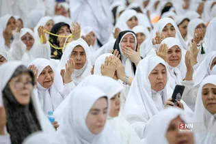 دبب
