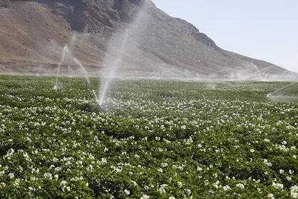 انعقاد تفاهم&zwnj;نامه همکاری بین ستاد نانو و سازمان تحقیقات کشاورزی