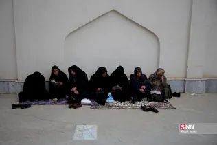 دبب