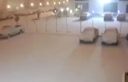 پردیس سفیدپوش شد