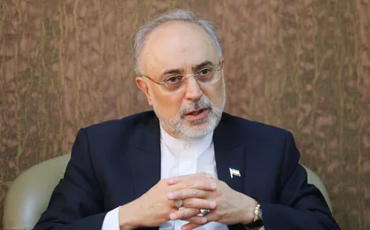 دولت جدید آمریکا گفته از ایران آب سنگین نخرند/ این دیگر مشکل خودشان است!