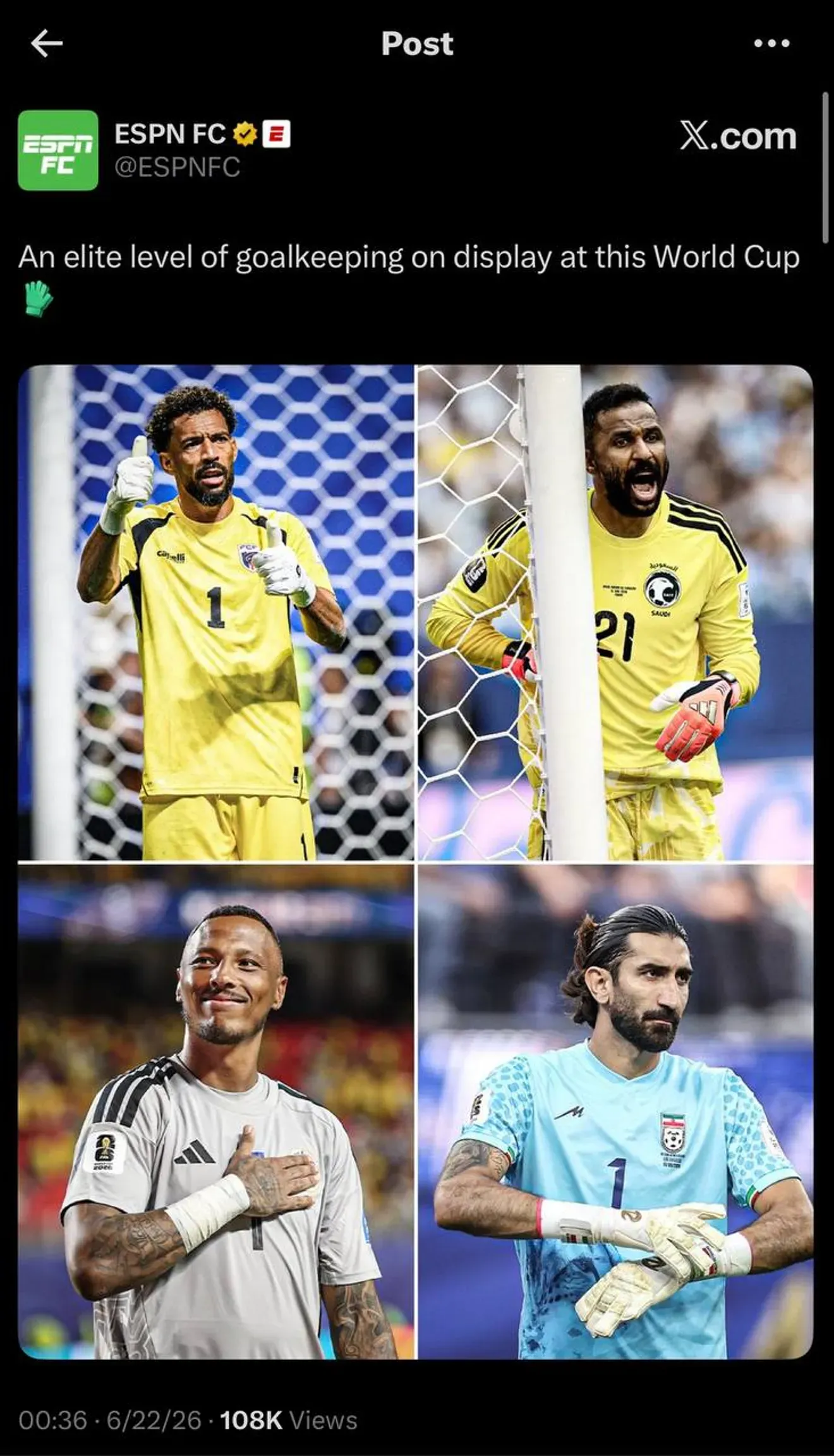علیرضا بیرانوند علیرضا بیرانوند