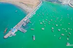 بریس