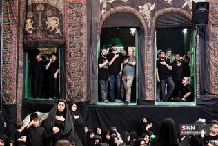 دبب
