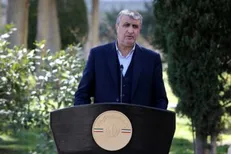 رییس سازمان انرژی اتمی: سهم برق هسته‌ای از برق کشور ۲۰ هزار مگاوات تعیین شده است