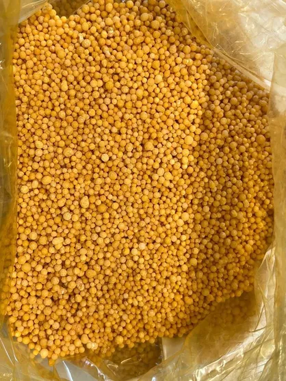 فتح بازار مگافارم&zwnj;های ایران توسط یک شرکت دانش بنیان در پارک علم و فناوری دانشگاه تهران