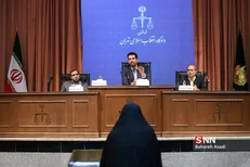 شبنم نعمت‌زاده: من شخصا نقش اجرایی نداشتم / قاضی: شما ۴۵٠ میلیارد تومان از شرکت درآمد داشتید؛ چطور نقشی نداشتید؟