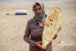 عشایر