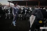 546456546