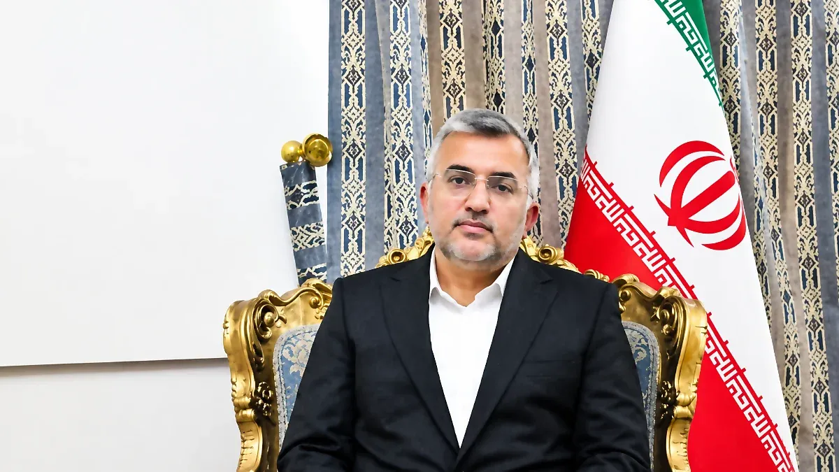 حذف کارت بازرگانی؛ پیشنهاد وزارت خارجه برای اصلاح تجارت / روایت معاون وزیر خارجه از موانع صادرات پسته