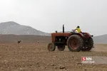 واکسن ذام