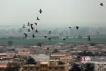 قلعه شوش