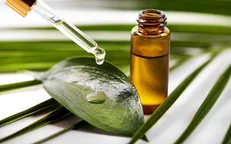 خواص درمانی روغن درخت چای