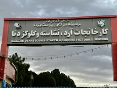 آیا سرنوشت تلخ کارخانه قند برای صنعتی دیگر در یاسوج تکرار می‌شود؟ / کارخانجات آرد و گلوکز یاسوج با ظرفیت ۳۰۰ شغل در انتظار تصمیم