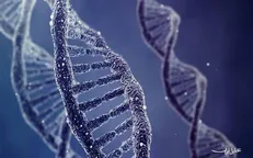 نانومهندسی DNA به رهاسازی دقیق دارو‌های سرطانی کمک می‌کند