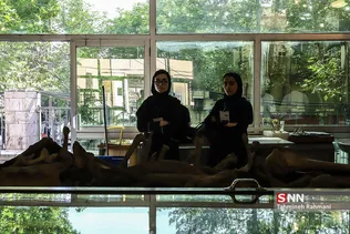 روزی با دانشگاه تهران