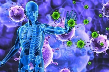 مصرف یک ماده غذایی به تنهایی سیستم ایمنی را تقویت نمی&zwnj;کند